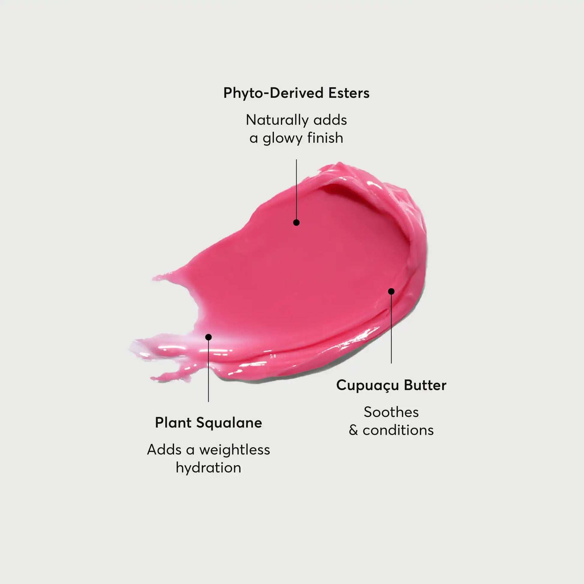 phyto-glow-lip-balm-camellia-f7 NATR-60075-Alt-Images-Phyto-Glow-Lip-Balm-Camellia-01.webp